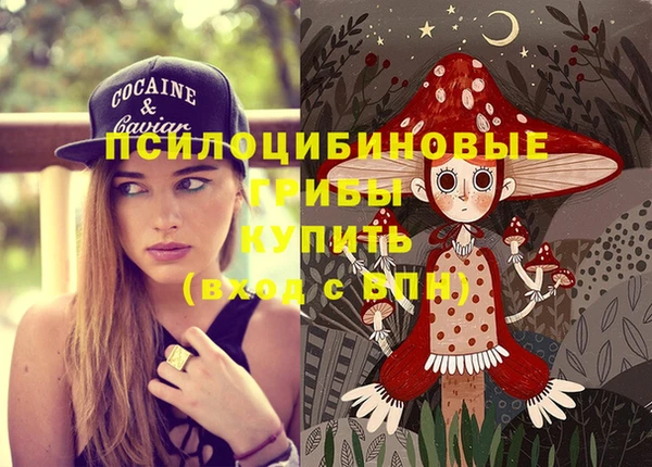 сатива Абаза